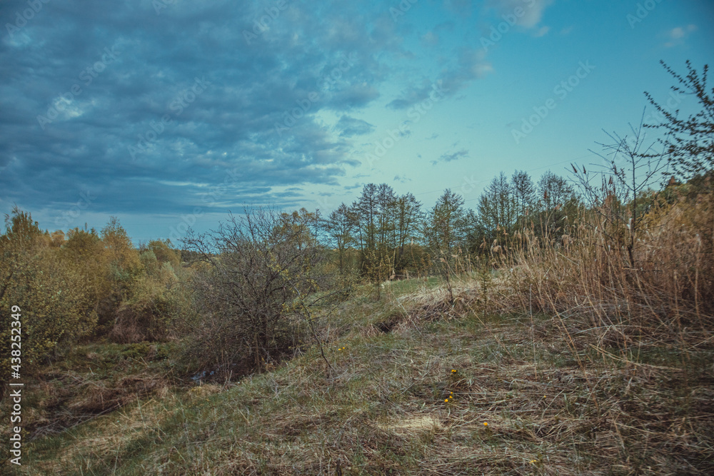 nature of the Russian federation in summer nature of the Russian federation in summer