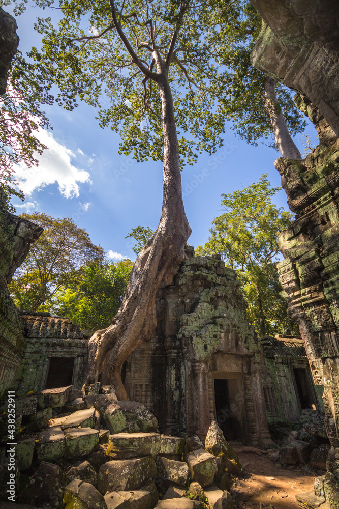 Fototapeta premium Angkor Wat, Cambodia