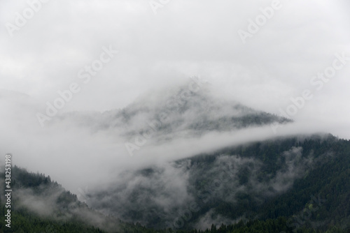 una collina con una foresta coperta dalle nuvole basse in una giornata piovosa in un paese delle dolomiti, il verde colore del bosco di conifere ed il bianco contrasto della nebbia e delle nuvole bass photo
