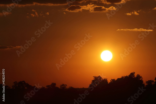 Sonnenuntergang Krüger Park Südafrika / Sundown Kruger Park South Africa / © Ludwig