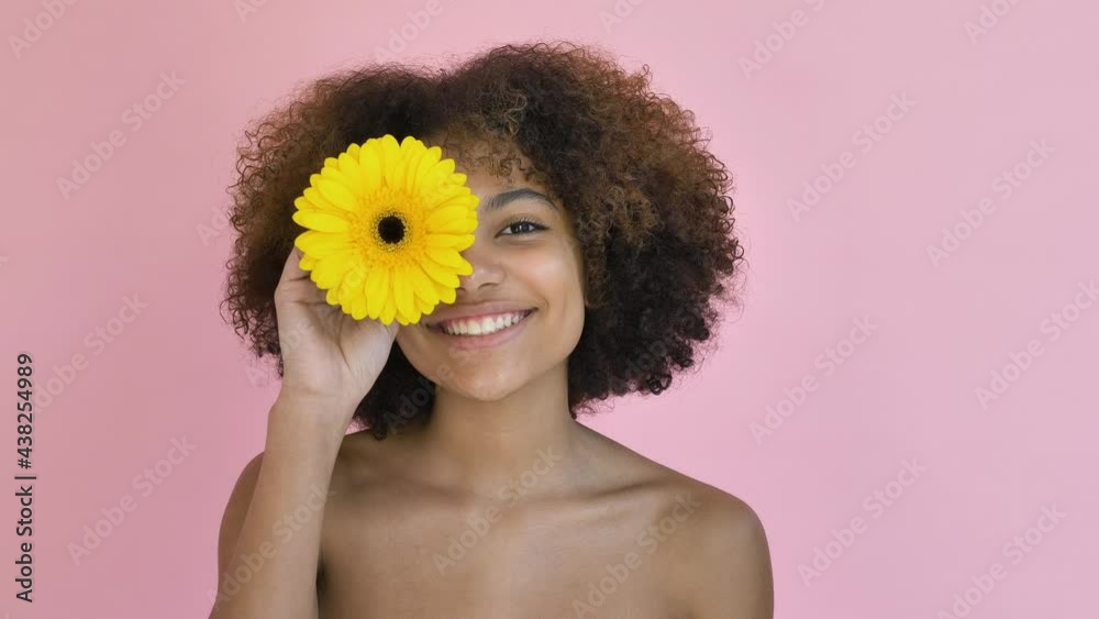 Beautiful African-American young woman with a lush hairstyle brings a yellow flower to her face and twirls it in front of her eye and smiles against a pink background, looking at the camera