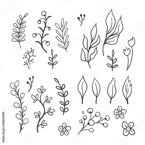 Floral graphic elements vector set. Flowers and plants hand drawn illustrations. Leaves and branches.