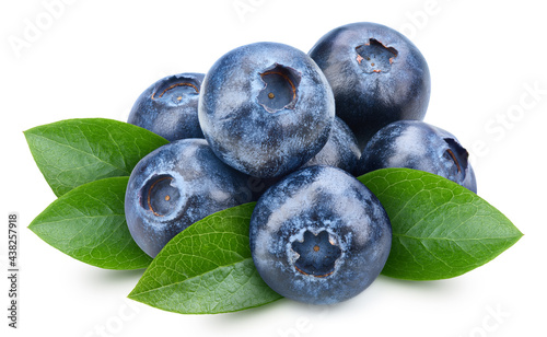 Blueberry with leaves isolated on white background. Blueberry with clipping path. Blueberry on white.