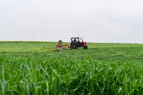 Tractor working on the field with swaths of freshly mowed green grass. Selective focus.