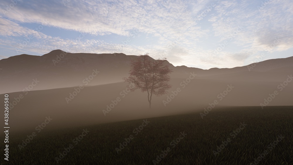 Fototapeta premium alone tree at grassland
