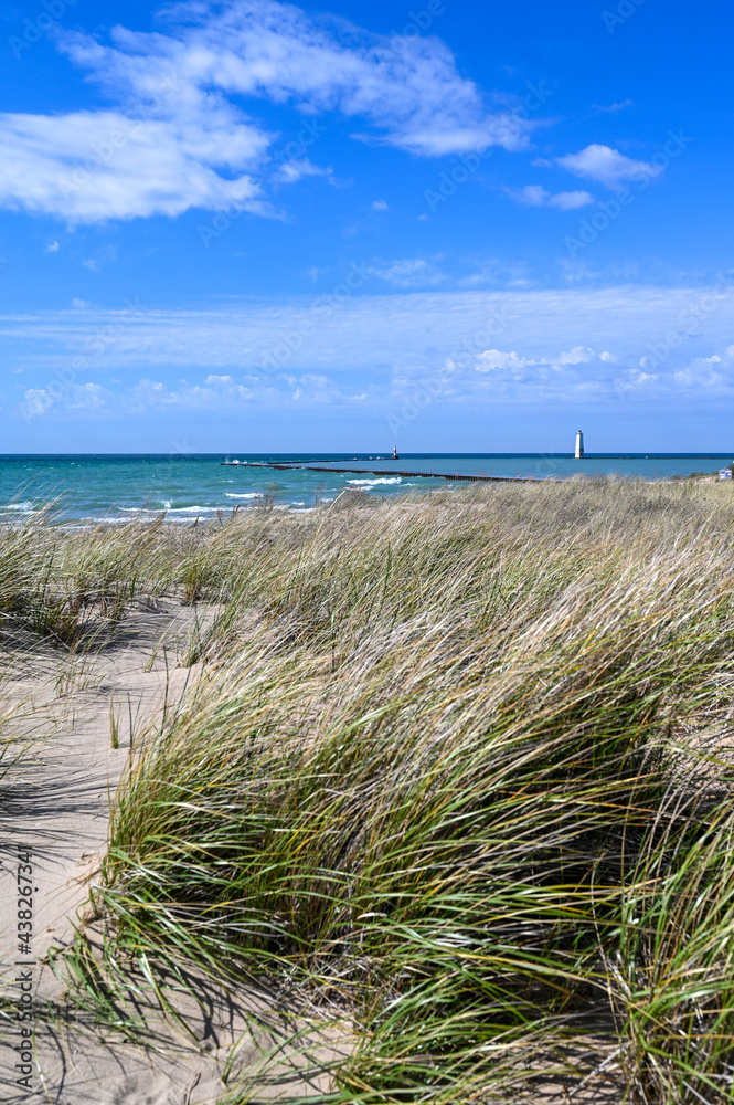 Beachgrass along sand dunes on Lake Michigan shoreline