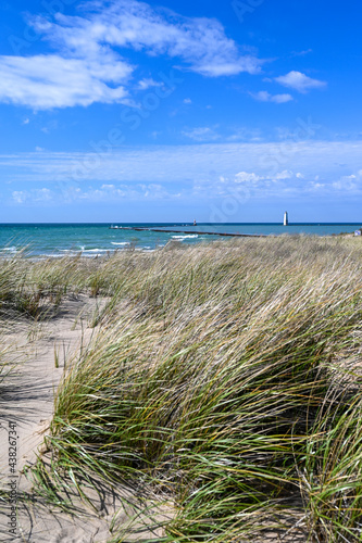 Fototapeta Naklejka Na Ścianę i Meble -  Beachgrass along sand dunes on Lake Michigan shoreline