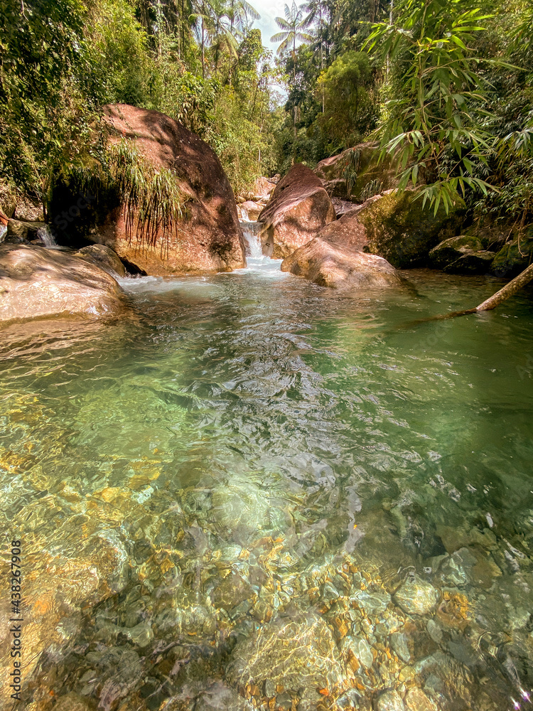 Naklejka premium waterfall in the forest
