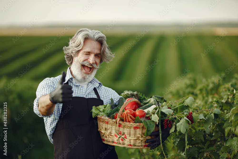 Fototapeta premium Senior with box vegetables garden background sunse