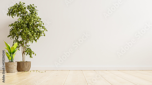 Fototapeta Naklejka Na Ścianę i Meble -  White wall empty interior room with plants on a floor.