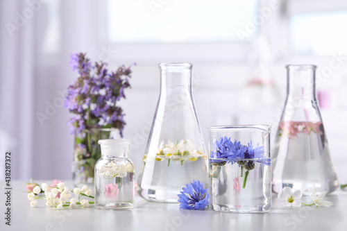 Laboratory glassware with different flowers on light table. Essential oil extraction photo