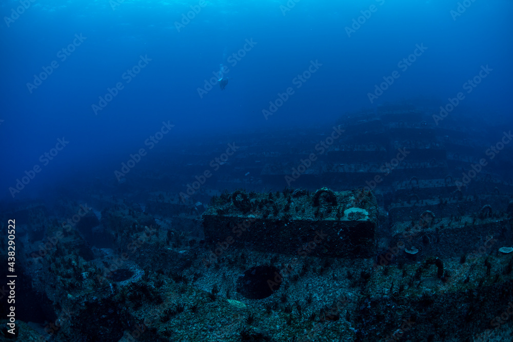 八丈島 Hachijo Island sea ダイビング Diver 八丈島 Hachijo Island sea ダイビング Diver