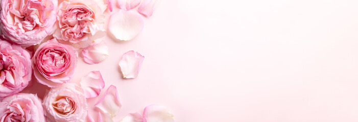 Flowers composition. Rose flower petals on pastel pink background.