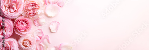 Flowers composition. Rose flower petals on pastel pink background.