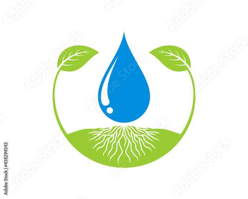 Water drop on the tree root vector illustration