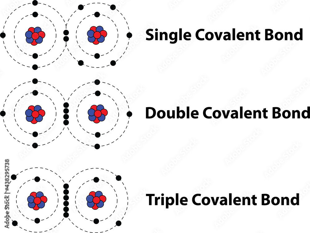 covalent-bonds-single-double-triple-stock-vector-adobe-stock