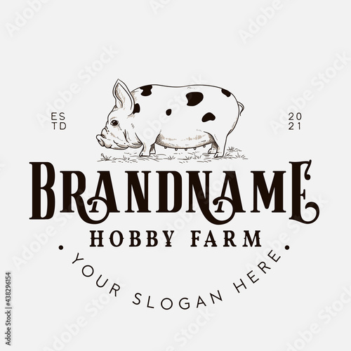 Kune kune pig farm logo design template