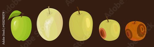 Apple is green, ripe, rotten. Set. The concept of the process of aging and decomposition of fruit. A collection of different, fresh, juicy, damaged and bad spoiled apples. Vector illustration.