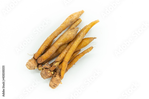 Close up fresh finger roots or galingale on white background. Top view image of herb plant Finger Root or Krachai in Thailand language.