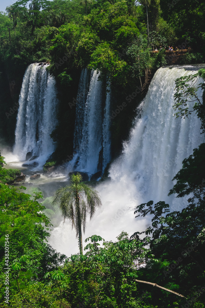 Naklejka premium Three waterfalls seen up close, in vertical Iguazu Falls, Argentina
