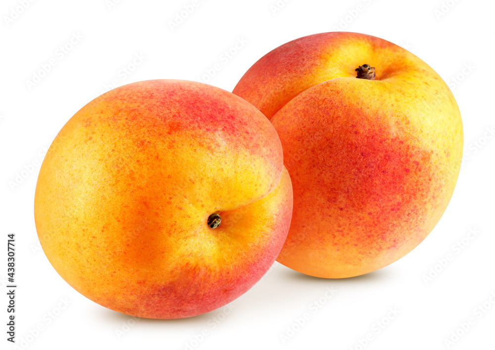 Organic apricot isolated on white background. Apricot on white background. Apricot with clipping path Organic apricot isolated on white background. Apricot on white background. Apricot with clipping path