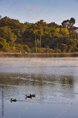 Bird watching at sunset in the fog at Andree Clark bird refuge in Santa Barbara