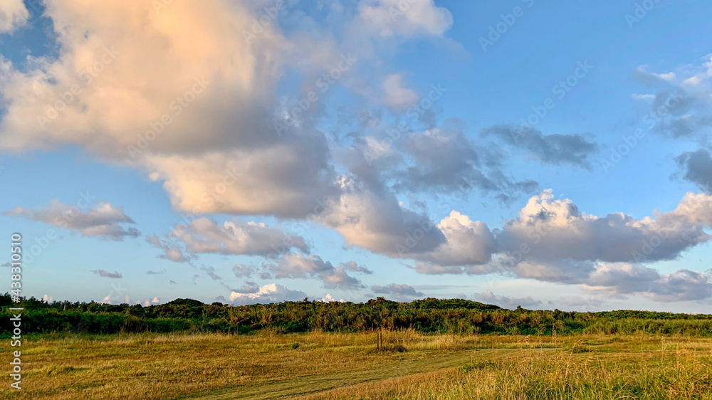 Obraz premium fire in the field