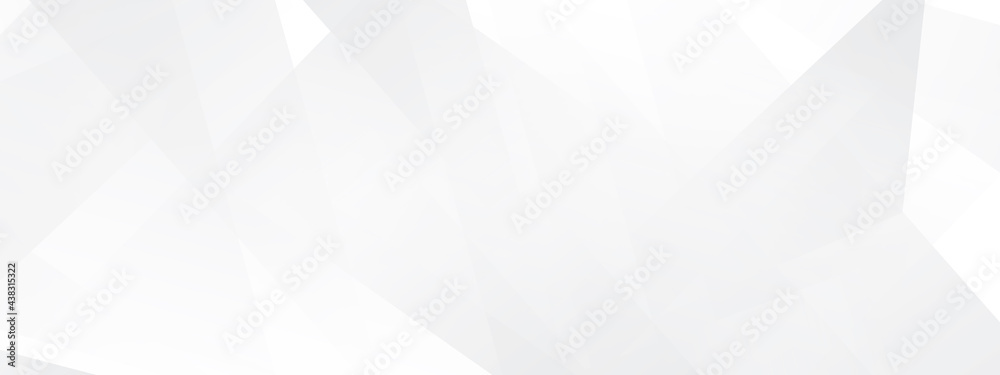 Obraz premium abstract white background, white modern background vector design