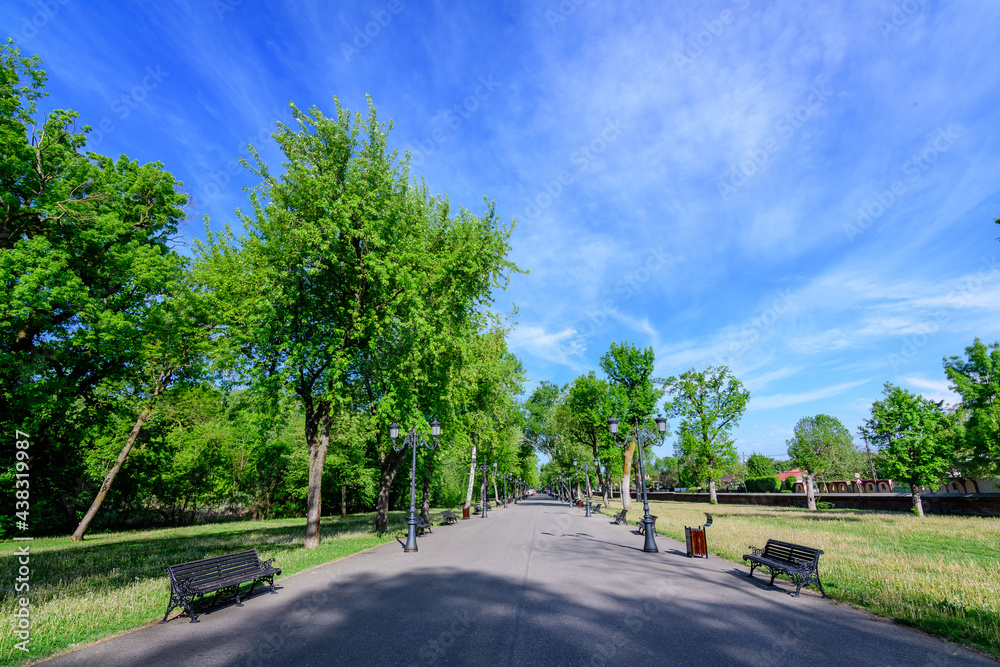 Landscape with old green trees and grey alley in Mogosoaia Park (Parcul Mogosoaia), a weekend attraction close to  Bucharest, Romania, in a sunny spring day.
