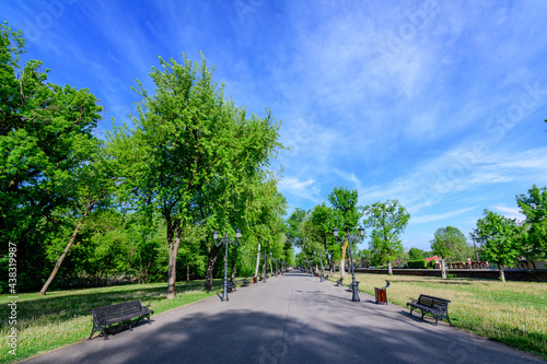 Landscape with old green trees and grey alley in Mogosoaia Park (Parcul Mogosoaia), a weekend attraction close to Bucharest, Romania, in a sunny spring day.