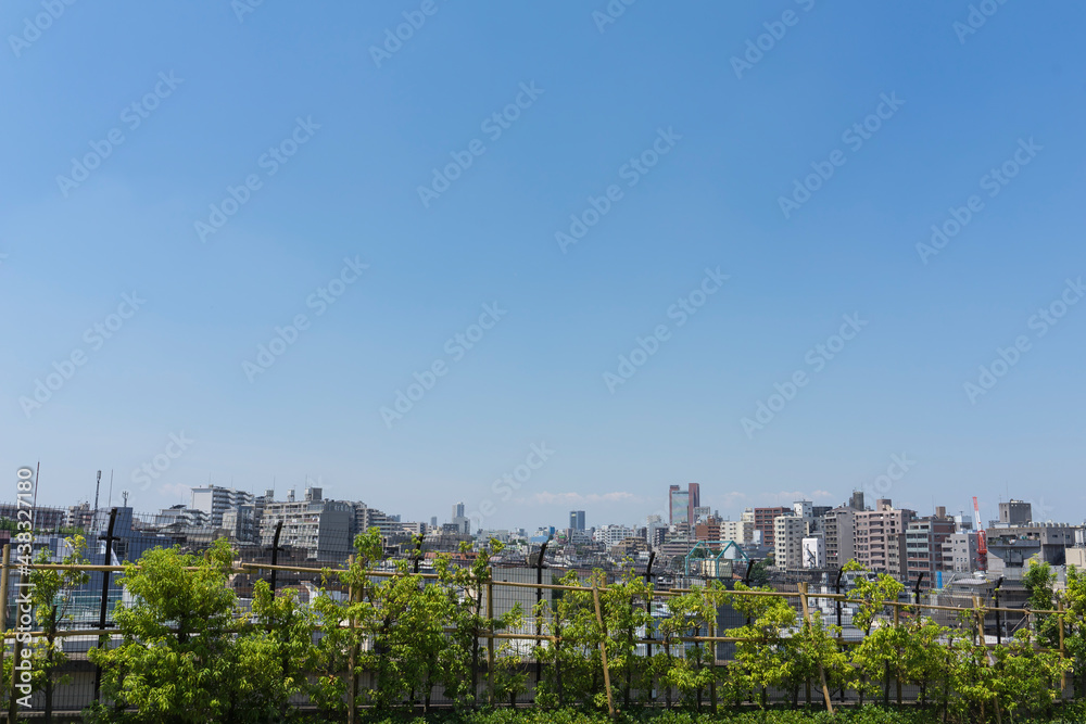 Obraz premium 都市の風景 初夏の世田谷の町並み