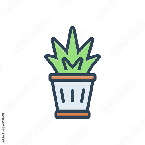 Color illustration icon for plant in a pot
