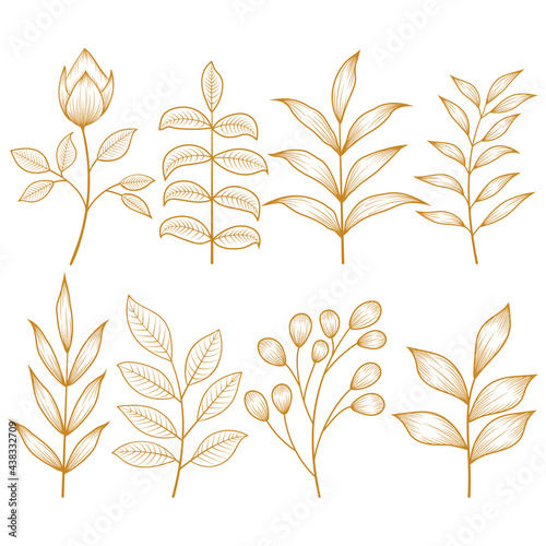 Hand drawn set of botanical floral tropical branches line art sketch pen and ink style vector illustration.
