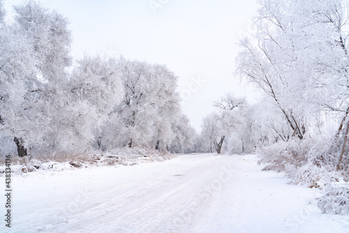 snow covered road in winter © snvv