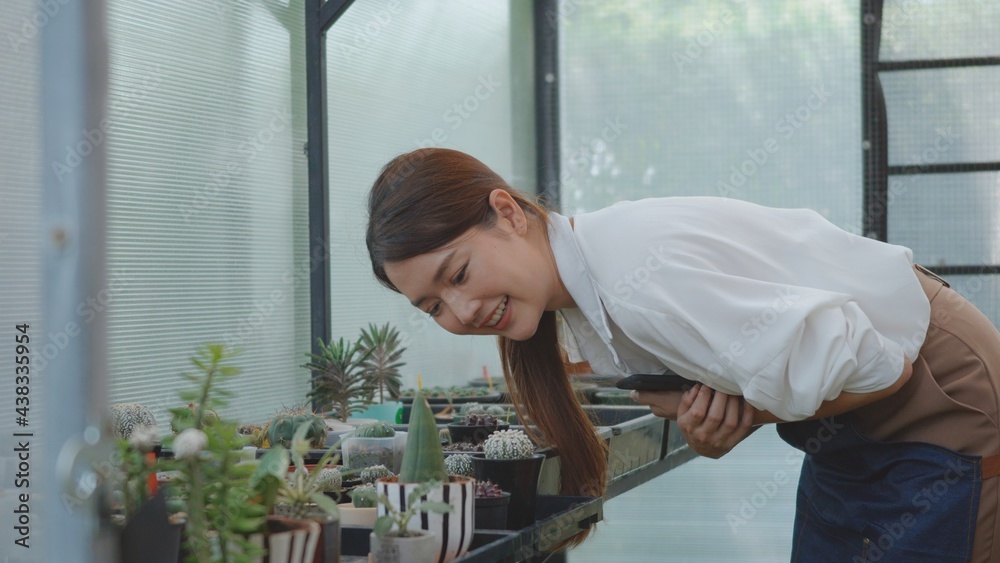 Asian beautiful young woman holding pot cactus flower on hands and smile laughing taking care looking small tree gloves at garden, love of houseplants, small business concept Asian beautiful young woman holding pot cactus flower on hands and smile laughing taking care looking small tree gloves at garden, love of houseplants, small business concept