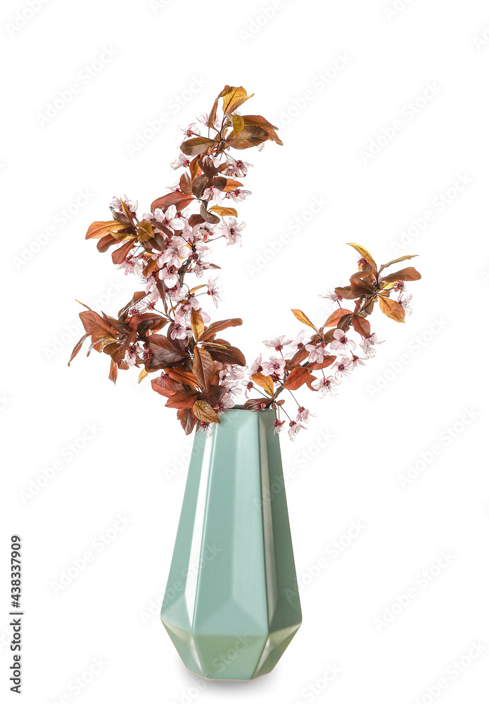 Fototapeta premium Vase with beautiful blossoming branches on white background