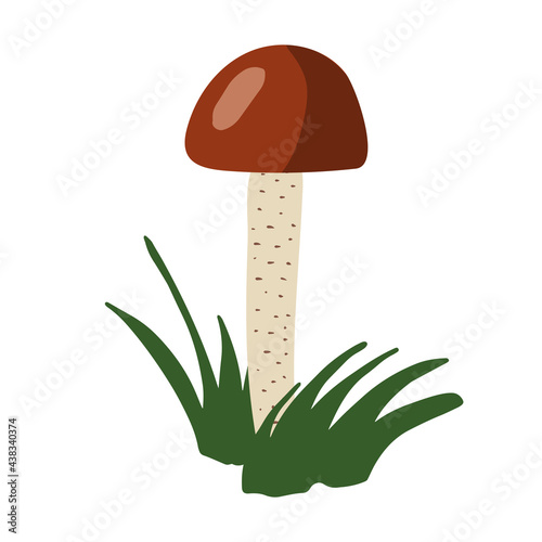 Orange cap boletus mushroom in the grass. Vector cartoon hand drawn illustration