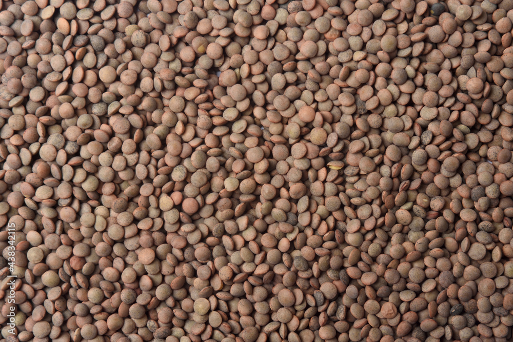 textured of pardina lentils on white background textured of pardina lentils on white background