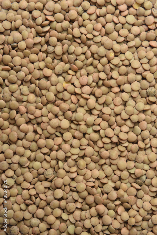 textured of eston lentils on white background textured of eston lentils on white background