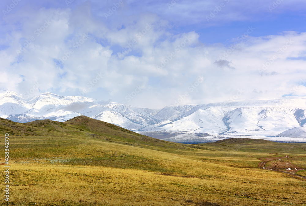 Kurai steppe in spring. Dry grass on the slopes, snow-capped peaks of the mountains of the Northern Chui range under a cloudy blue sky. Gorny Altai, Siberia, Russia