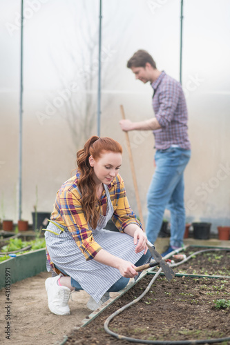 Young adult woman and man working in greenhouse