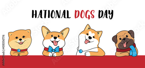 Fototapeta Naklejka Na Ścianę i Meble -  The set of the funny puppies. The collection of animals is good for National dogs day, holiday designs. The corgi, Akita, spitz, and pug is a vector illustration