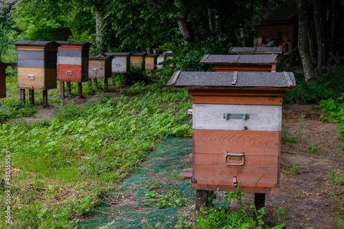 Ecological apiary with artisan hives in Ukraine. Beehives in the forest shade. 