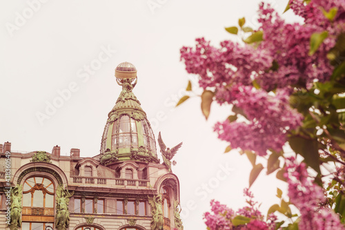lilac flowers on the background of a building in St. Petersburg, © Elena