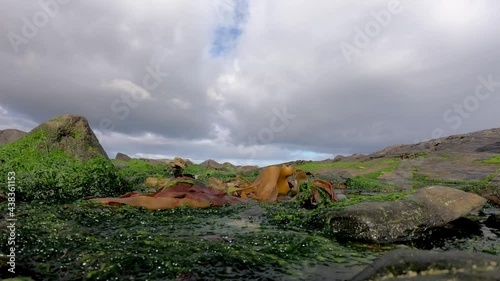 Time lapse of algae and rocks at the irish coast photo