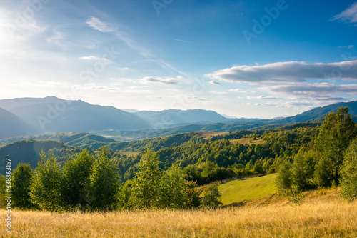 rural landscape in mountains at sunset. trees and fields on grassy rolling hills. beautiful countryside scenery of transcarpathia region  ukraine  in evening light. wonderful sunny weather in autumn