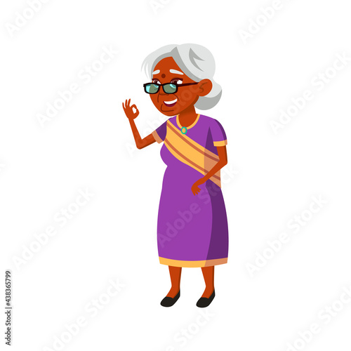 old indian woman gesturing ok to grandchildren in park cartoon vector. old indian woman gesturing ok to grandchildren in park character. isolated flat cartoon illustration