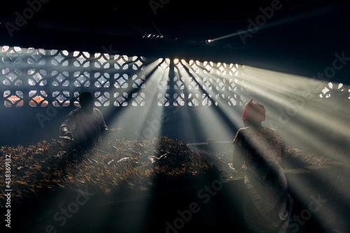 Gambian People Processing Fish At Dark Rural Basement photo