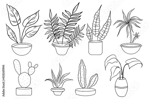 A set of indoor plants in a pot. Linear vector illustration isolated objects on a white background.