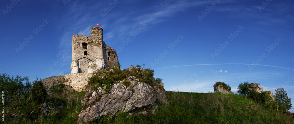 Szlak Orlich Gniazd-zamek w Mirowie